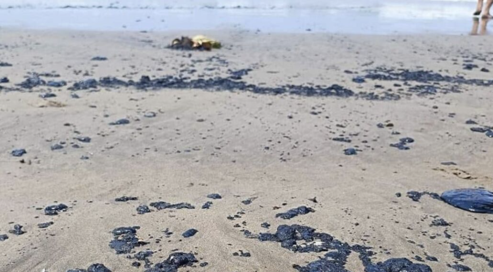 DERRAME DE HIDROCARBUROS DE LA REFINERÍA `DOS BOCAS` PEGA A MÀS DE 4 MIL PESCADORES DE TABASCO